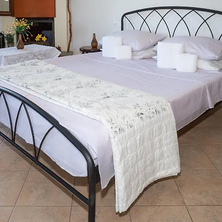 The Bird's Sea View Casa vacanze