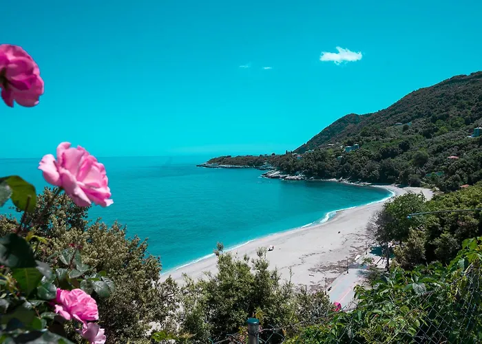 The Bird's Sea View * Άγιος Ιωάννης