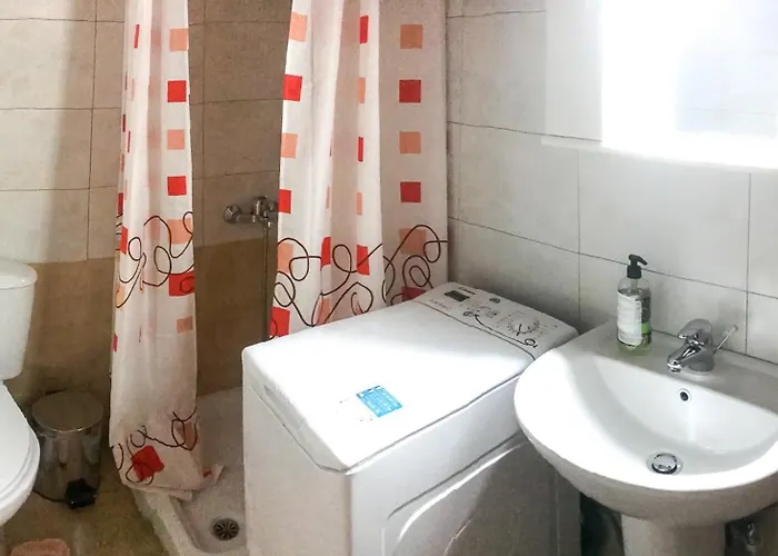 The Bird's Sea View *